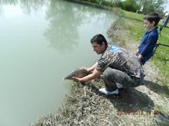 carpfishing 100%